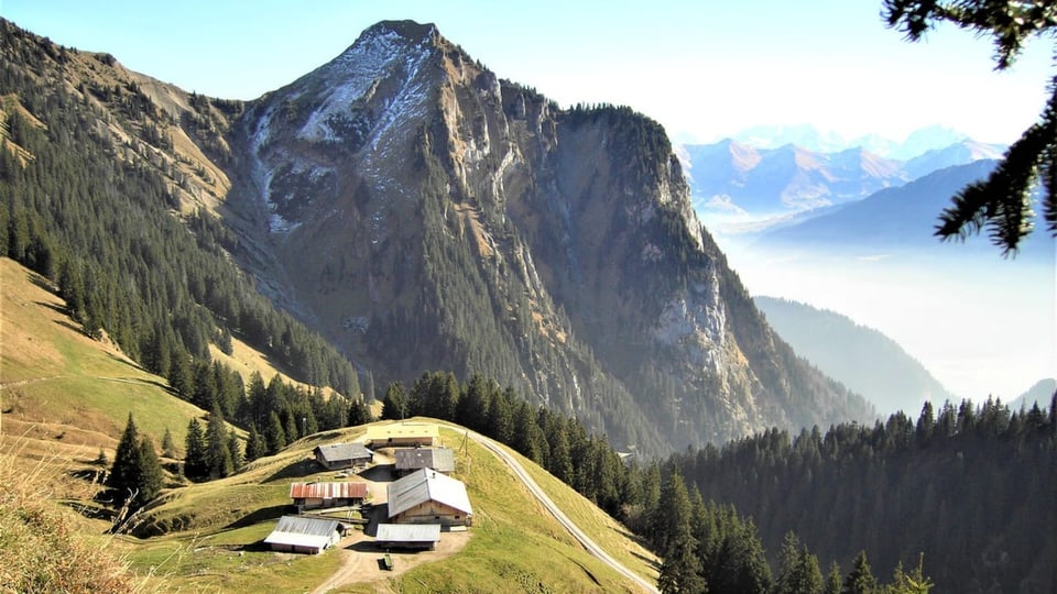 Die Alp Morgeten im Berner Simmental. 