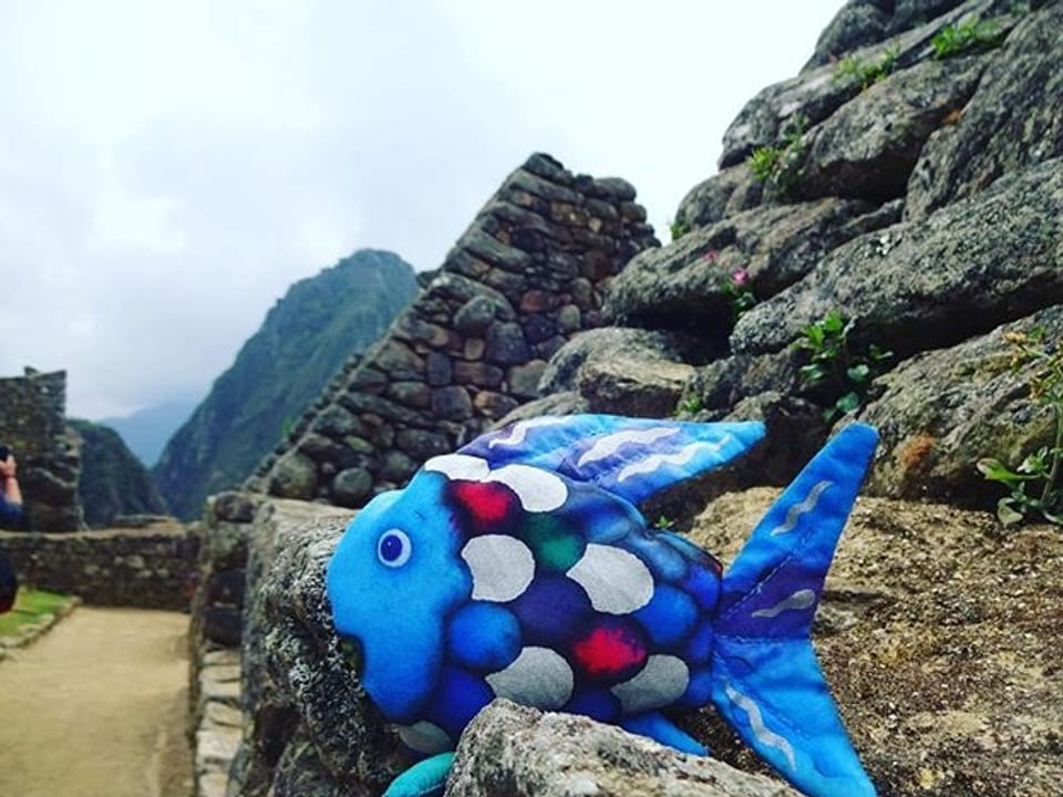 Ein Fisch auf der Mauer einer Inka-Ruine.