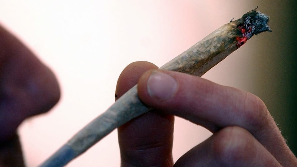 Nationalrat entscheidet über Cannabis-Experimentierartikel