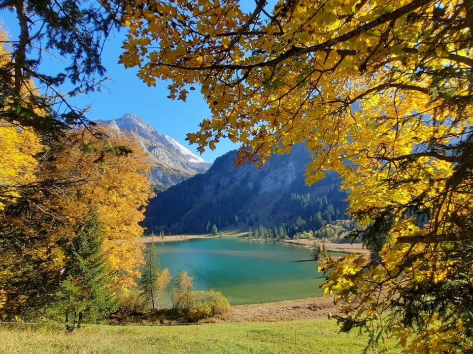 Herbstfarben an See