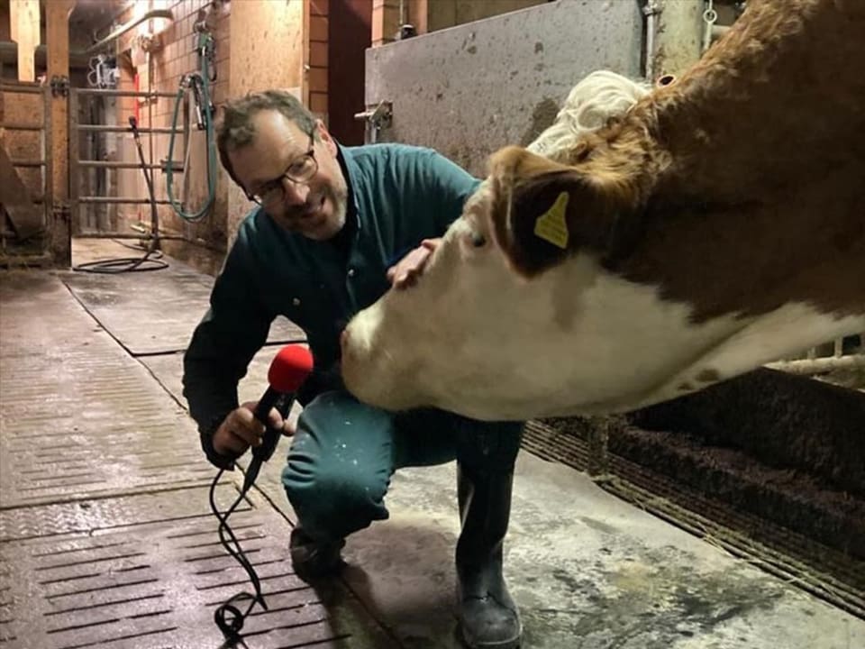 Redaktor Oliver Fueter hält einer Kuh das Mikrofon hin.