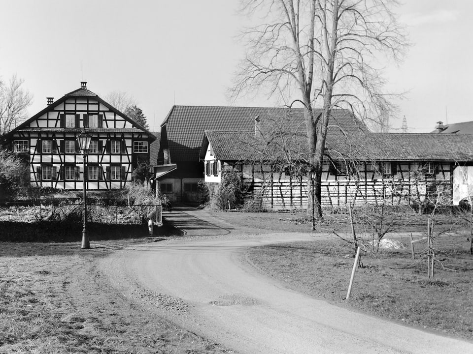 Schwarzweiss-Aufnahme des Bauernhofs "Hammergut" in Cham. Ein Riegelbau.