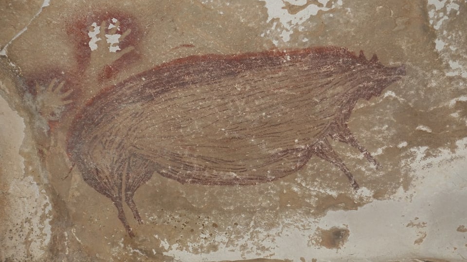 Die Zeichnung eines Wildschweins an einer Höhlenwand.