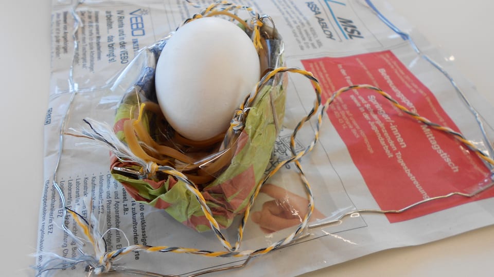 Ein Ei liegt in einer Kartonschachtel.