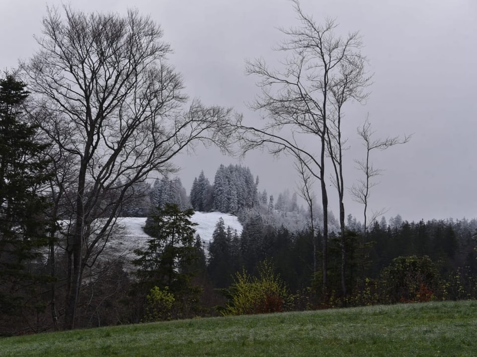 Weisse Hügel oberhalb von grünen Wiesen.
