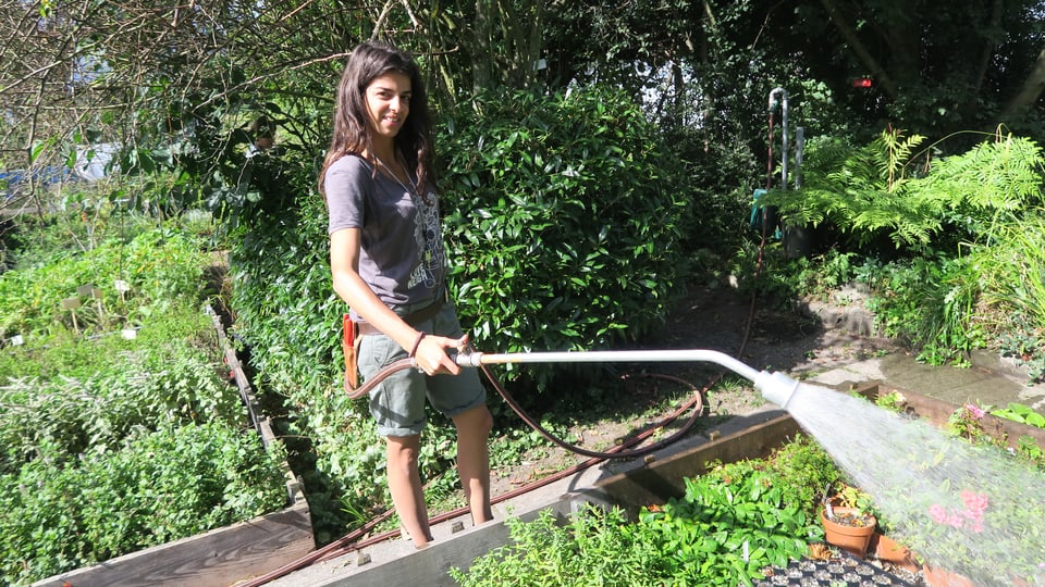 Junge Frau giesst die Pflanzen in einem Gartenbeet.