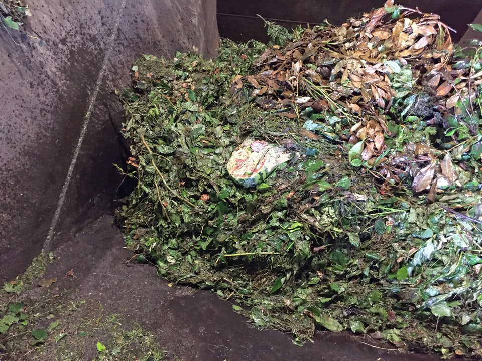 Plastiksack auf Komposthaufen.