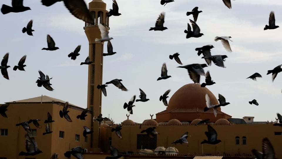 Tauben fliegen an Moschee im saudischen Dschidaa vorbei
