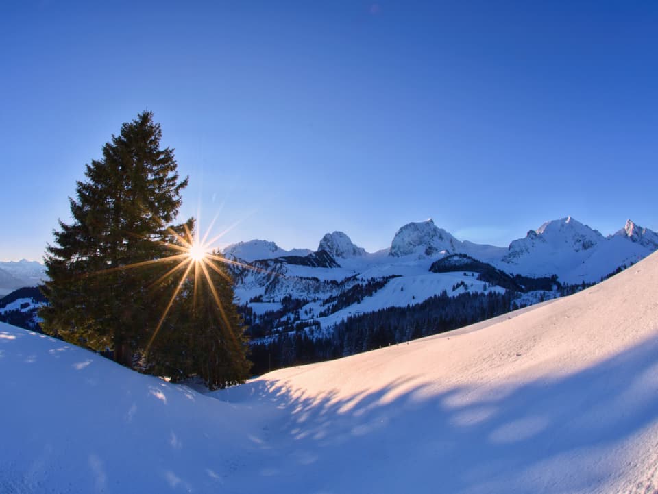 Die Sonne geht über einer Bergkette auf und scheint hinter einem Baum auf die Schneefläche im Vordergrund. Der Himmel ist blau und wolkenlos.