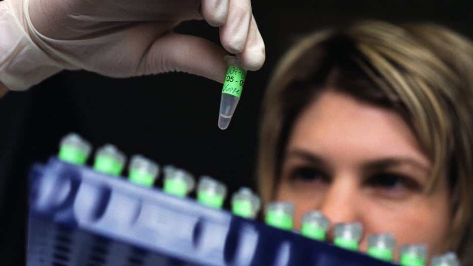 Eine Laborantin füllt DNA-Proben in ein Gefäss ab.