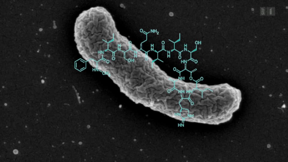 Hoffnung auf neues Antibiotikum