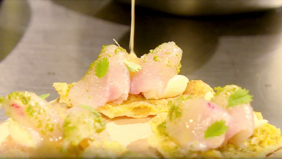 Graved Fisch mit Kräutern Roher Fisch mit Kräutern auf einem Knusperbrot