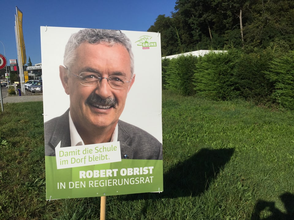 Wahlplakat in der grünen Wiese