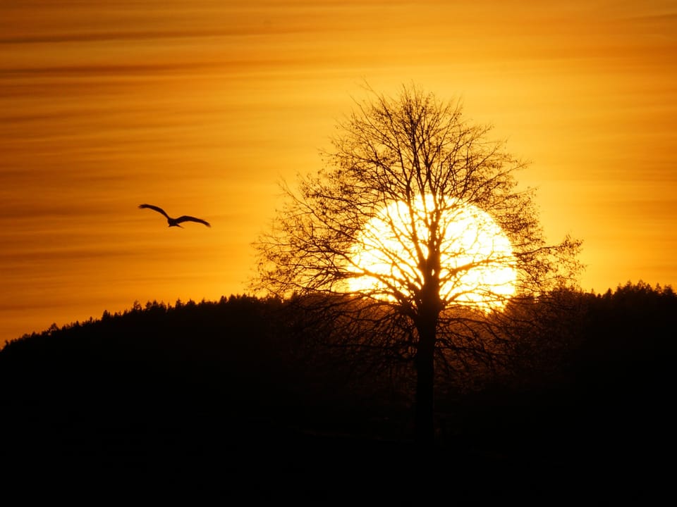 Sonnenuntergang hinter einem Hügel