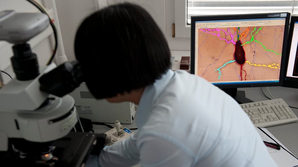 Frau am Mikroskop, dahinter auf einem Bildschirm eine Neurone.