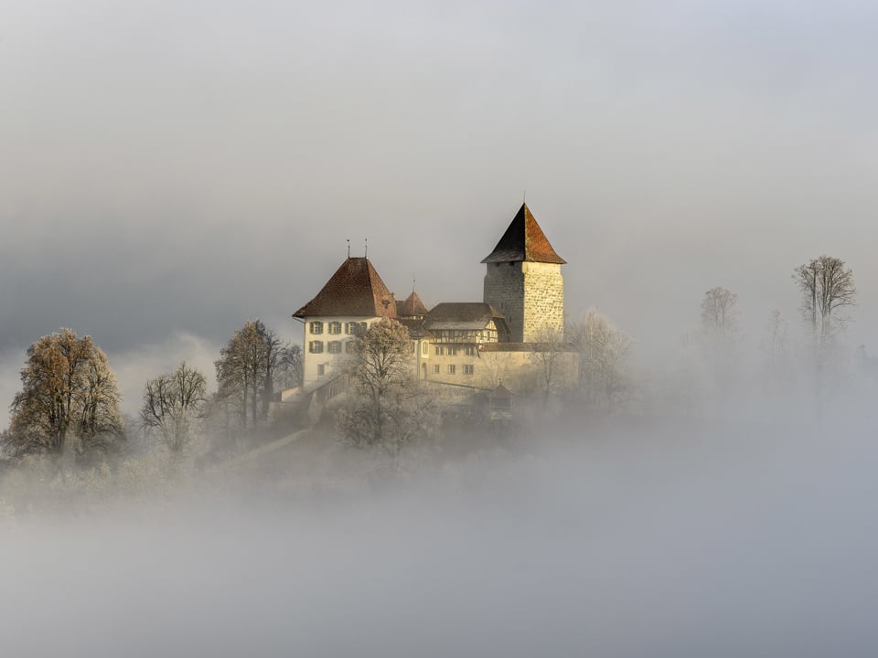 Nebel über dem Emmental. In der Mitte des Bildes eine Lücke im Nebelgrau, das Schloss ist sichtbar.