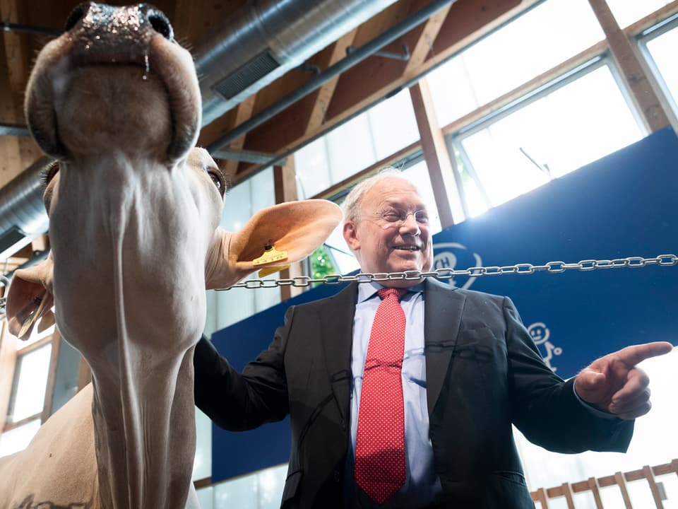 Bundesrat Johann Schneider-Ammann mit einer Kuh.