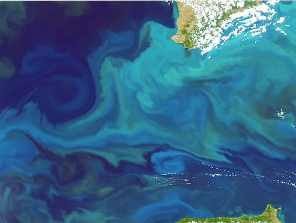 Grosse türkisfarbene Strudel von Phytoplankton-Blüten im schwarzen Meer.