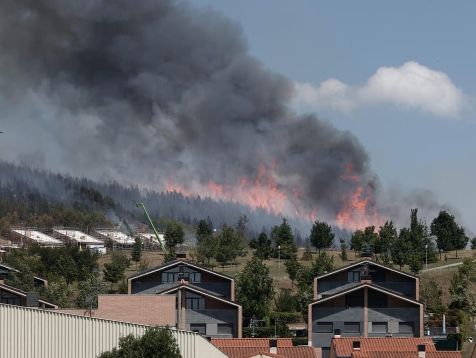 Forest view from a residential area.  Flames emanate from it.  It has a puff of black smoke.