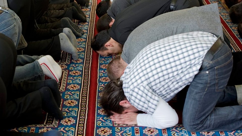 Betende Moslems, die auf einem grossen Gebetsteppich in Reih und Glied beten.