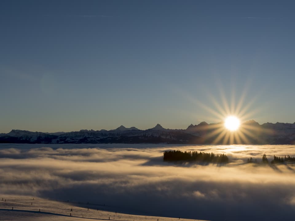 Sonnenaufgang über den Berner Alpen, darunter ein Nebelmeer.