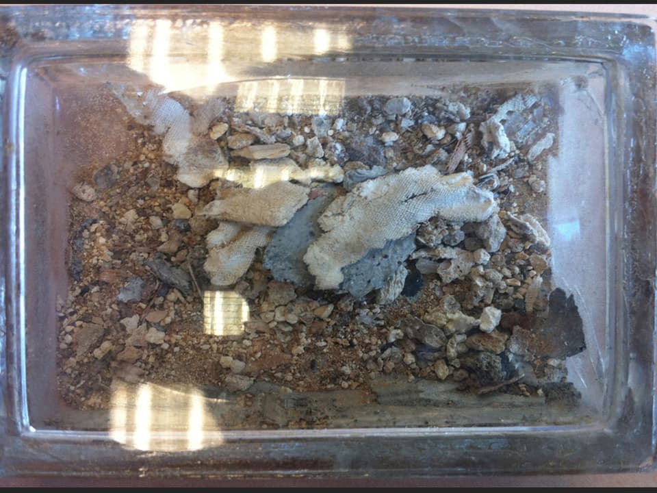 Die mummifizierten Überreste vom Herz des Königs
