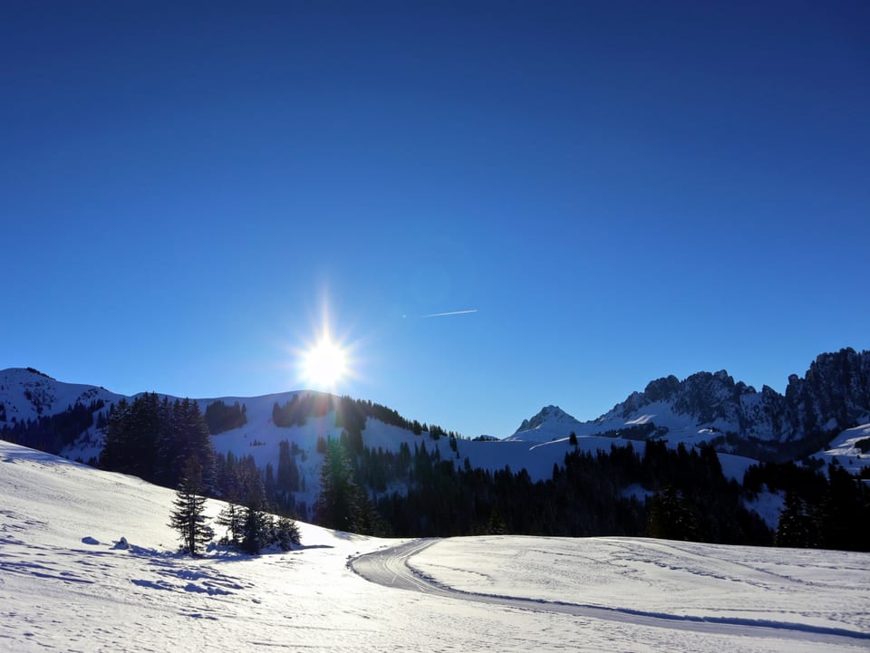 Ein gut präparierte Loipe führt in eine wunderschöne Winterwelt. Die Sonne am blauen Himmel steht tief über dem Horizont.
