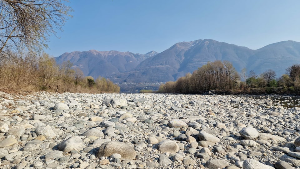 Ausgetrocknetes Flussbett unter wolkenlosem Himmel