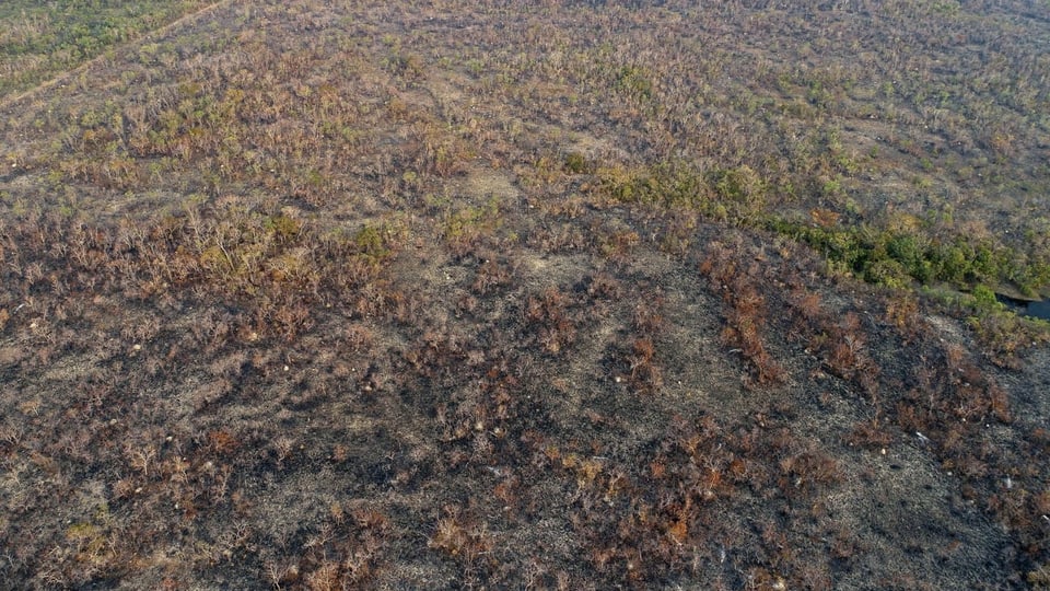 Verbrannte Waldfläche im Amazonas