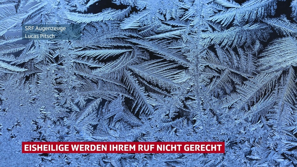 Eisblumen an einem Fenster