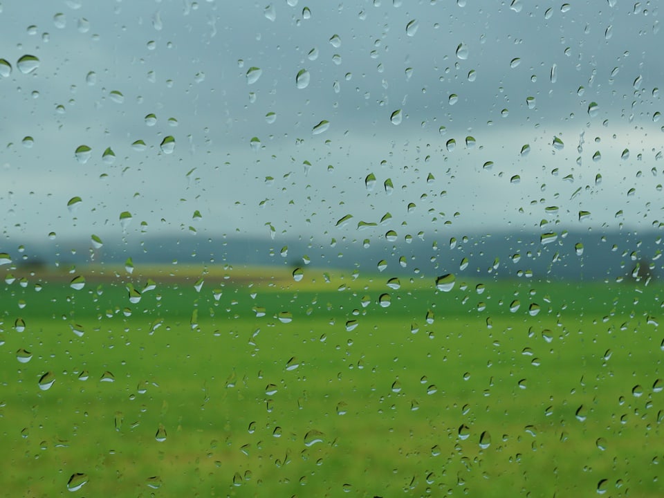 Regentropfen am Fenster