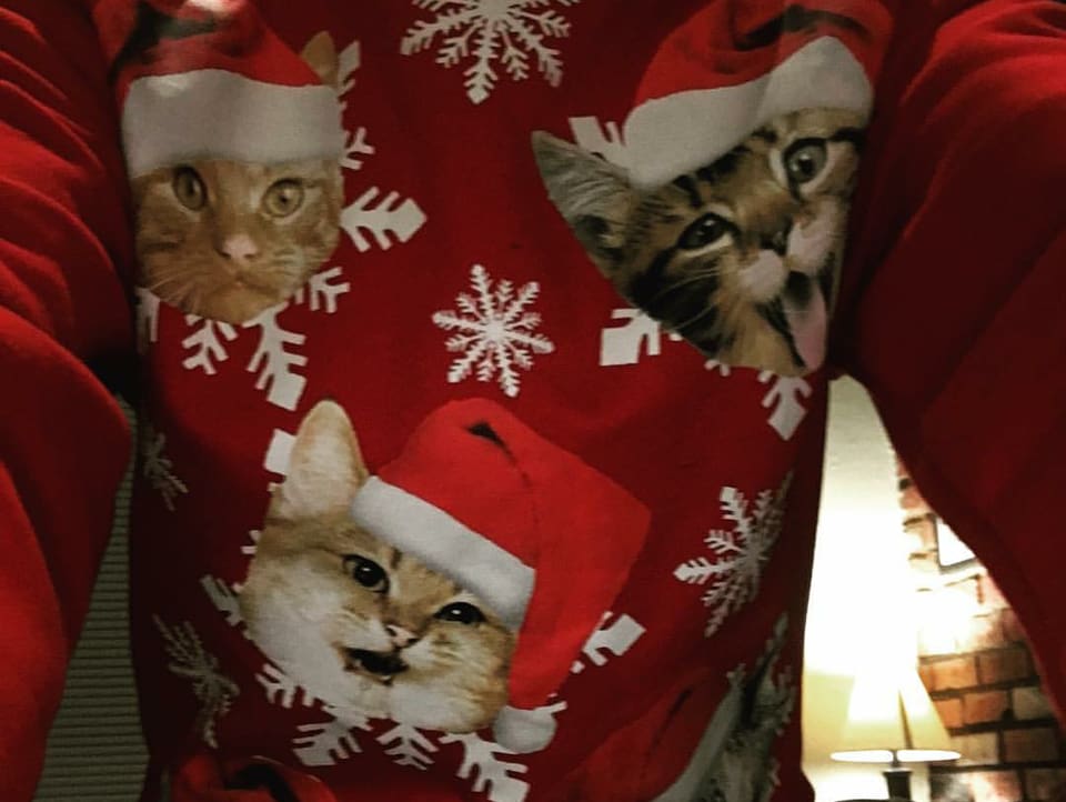 Weihnachtspulli mit Samichlaus-Katzen