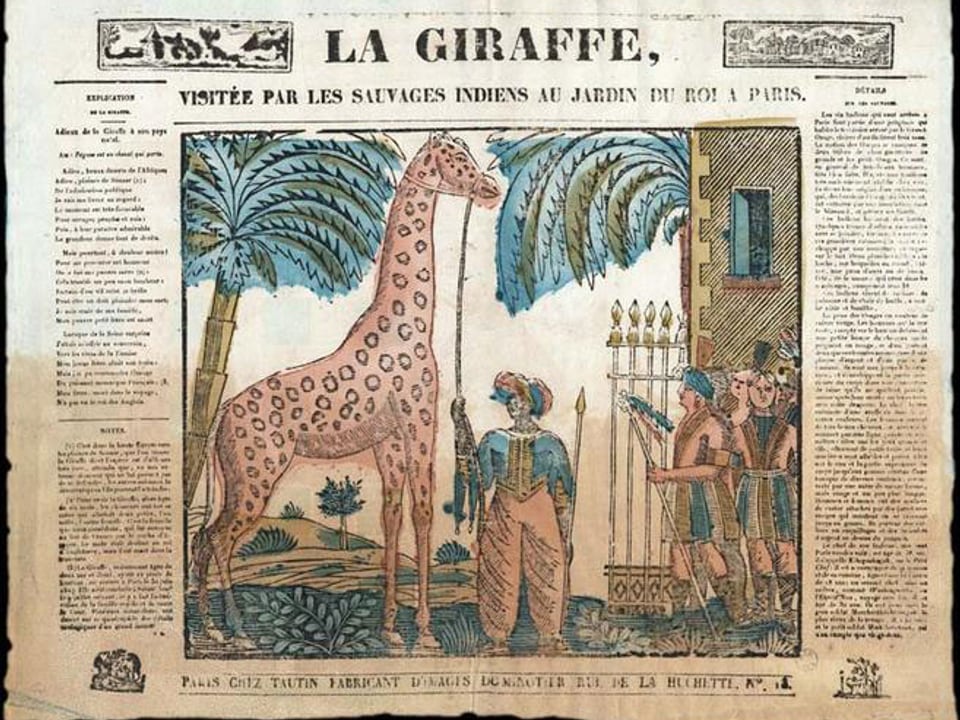 Zeitungsbericht mit einer gezeichneten Giraffe und Menschen.