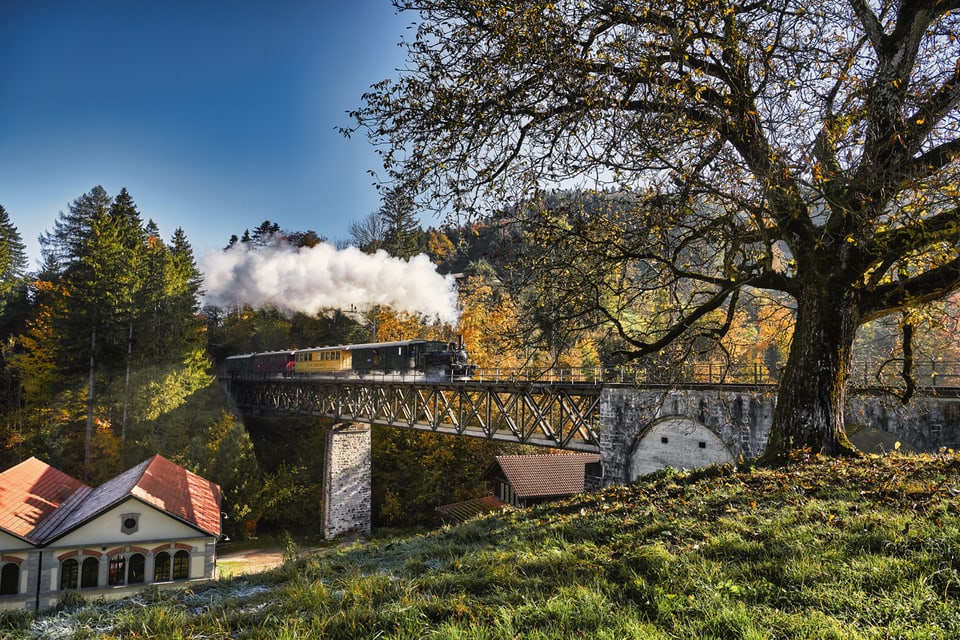 Dampfzug auf historischer Brücke.