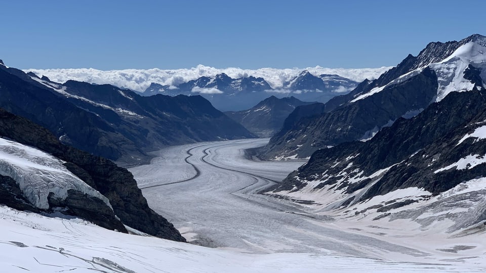 Blick vom Jungfraujoch auf den weitgehend ausgeaperten Aletschgletscher.