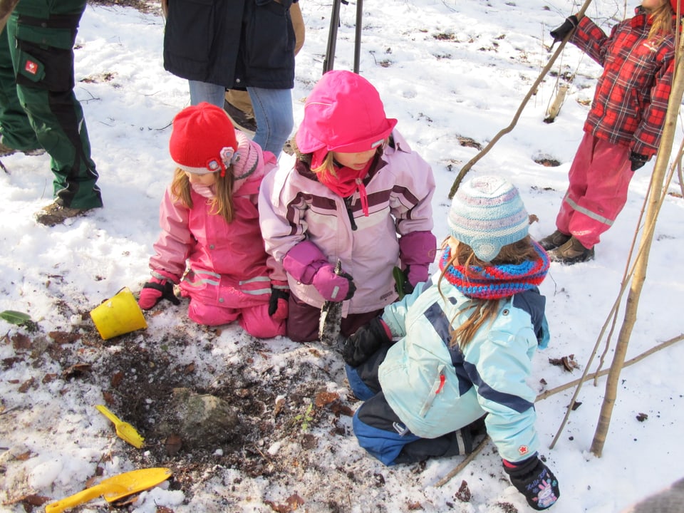 Drei Kindergartenkinder im Waldkindergarten in Winterthur spielen im Schnee.