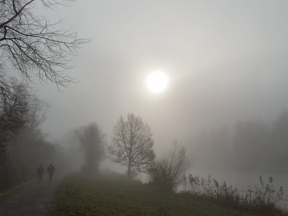 Eine Landschaft mit Bäumen und zwei Fussgängern liegt im dichten Nebel. Die Sonne drückt jedoch durch die Nebelschicht.
