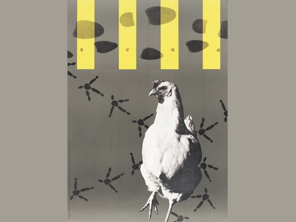 bfu-Plakat: Nur Hühner hühnern über die Strasse