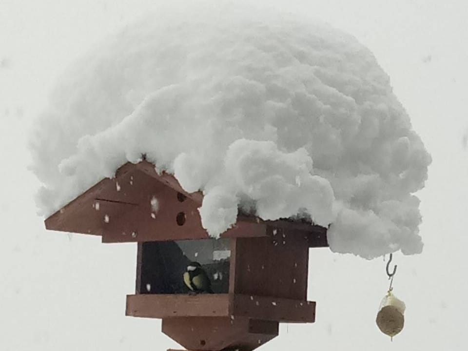 Vogelhäuschen bedeckt mit Schnee.