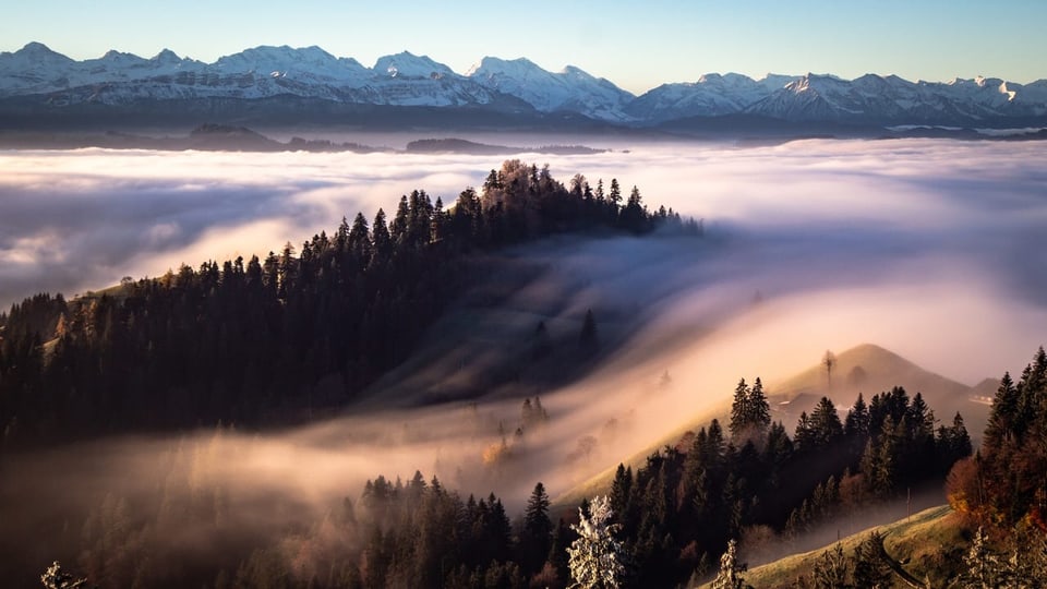Blick auf eine Landschaft mit Hügeln und Wäldern, in der es eine Welle aus Nebel hat. 