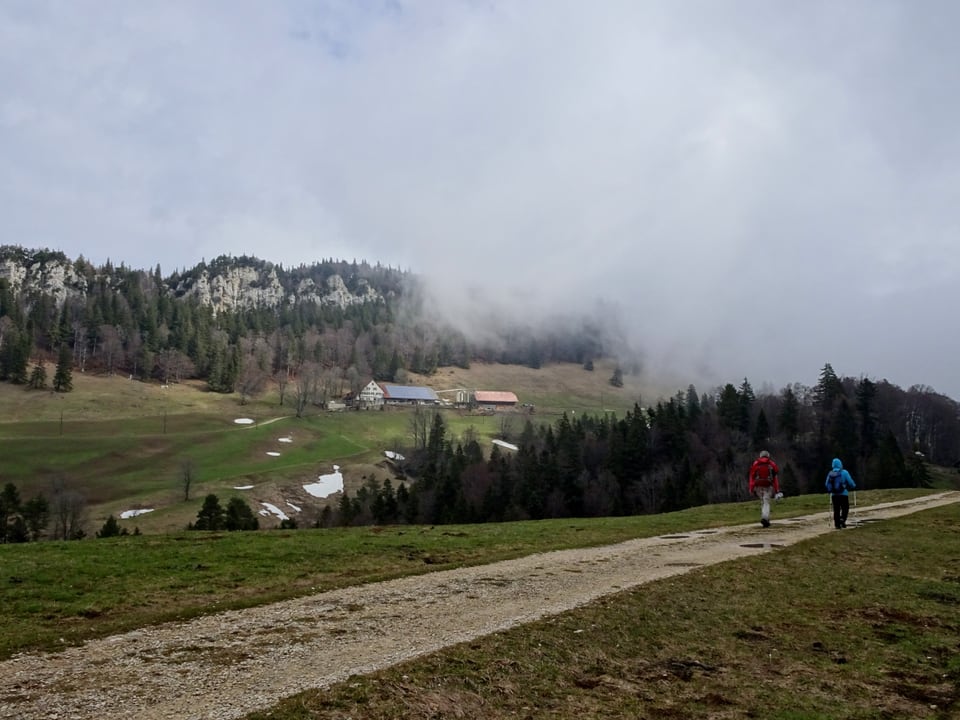 Nach dem nächtlichen Regen Wanderwetter auf dem Weissenstein. Der Schnee ist mehrheitlich weg und der Nebel lichtet sich.