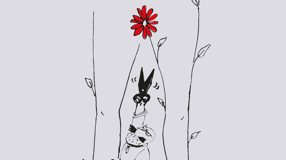 Auf einer Karikatur Ein steht ein Mann mit einer Schere zwischen den Beinen einer Frau. Ihr Genitalbereich wird von einer roten Blume überdeckt.