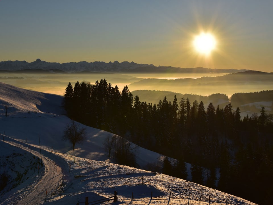 Sonnenschein in den verschneiten Bergen, Blick aufs Nebelmeer.