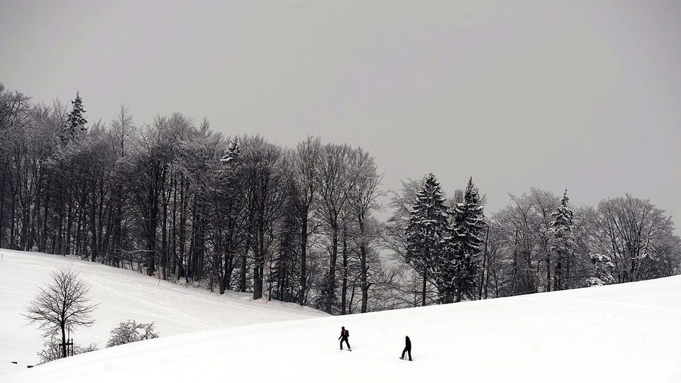 Schneeschuhwanderer in verschneiter Landschaft. 