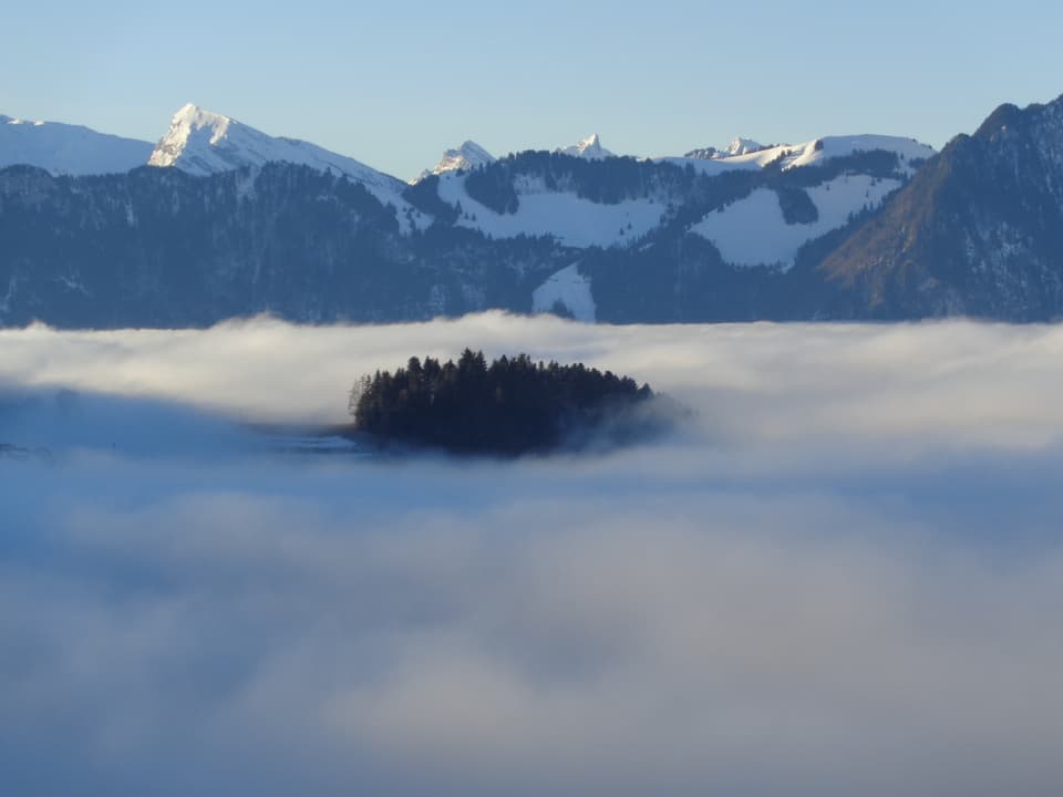 Blick auf ein Nebelmeer, aus dem ein paar Bäume herausragen, dahinter die Berner Berge.