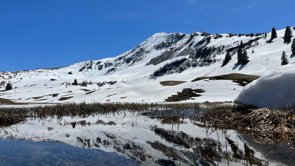 Verschneite Hänge am 3. Mai oberhalb von St. Stephan/BE.