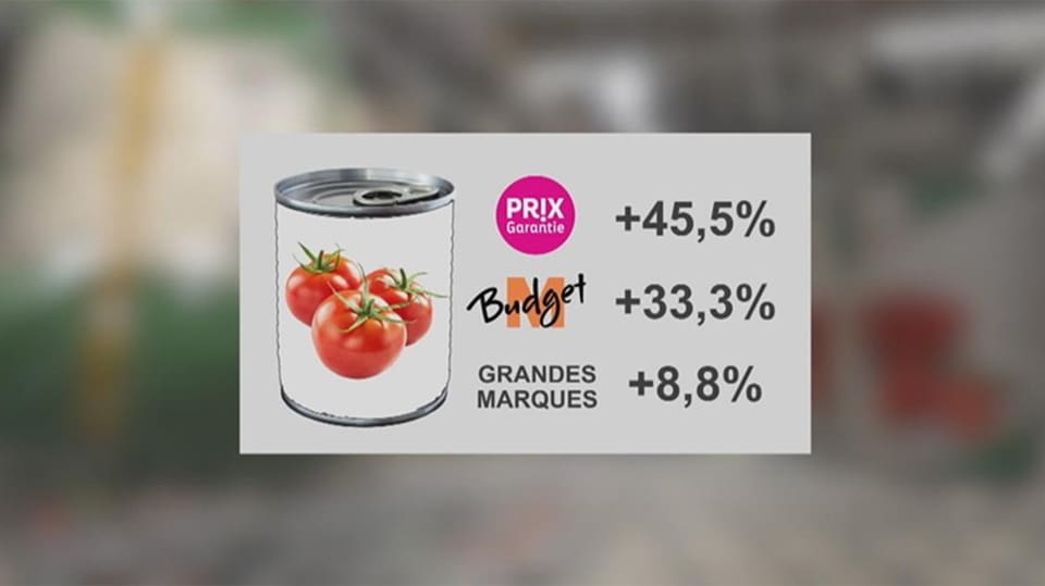 Grafik Preissteigerung gehackte Tomaten