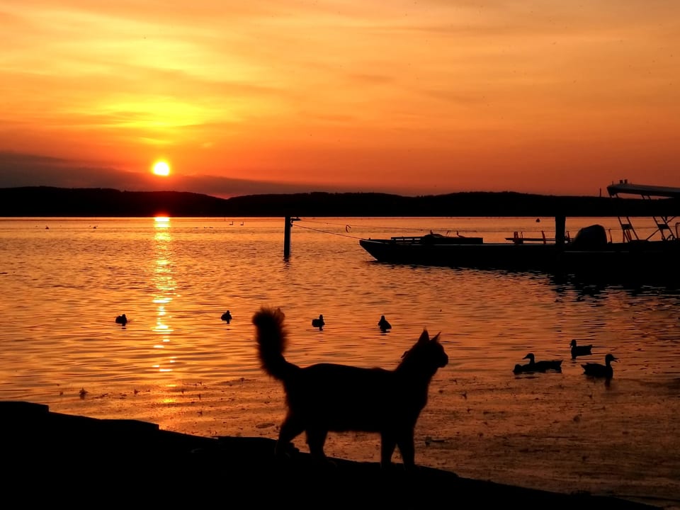 3. Juli Kitschige Morgenstimmung am See.