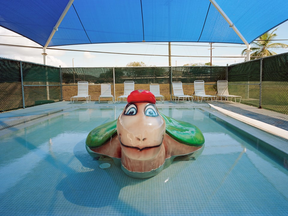 Aus einem Schwimmbecken starrt eine riesige, aufblasbare Schildkröte.