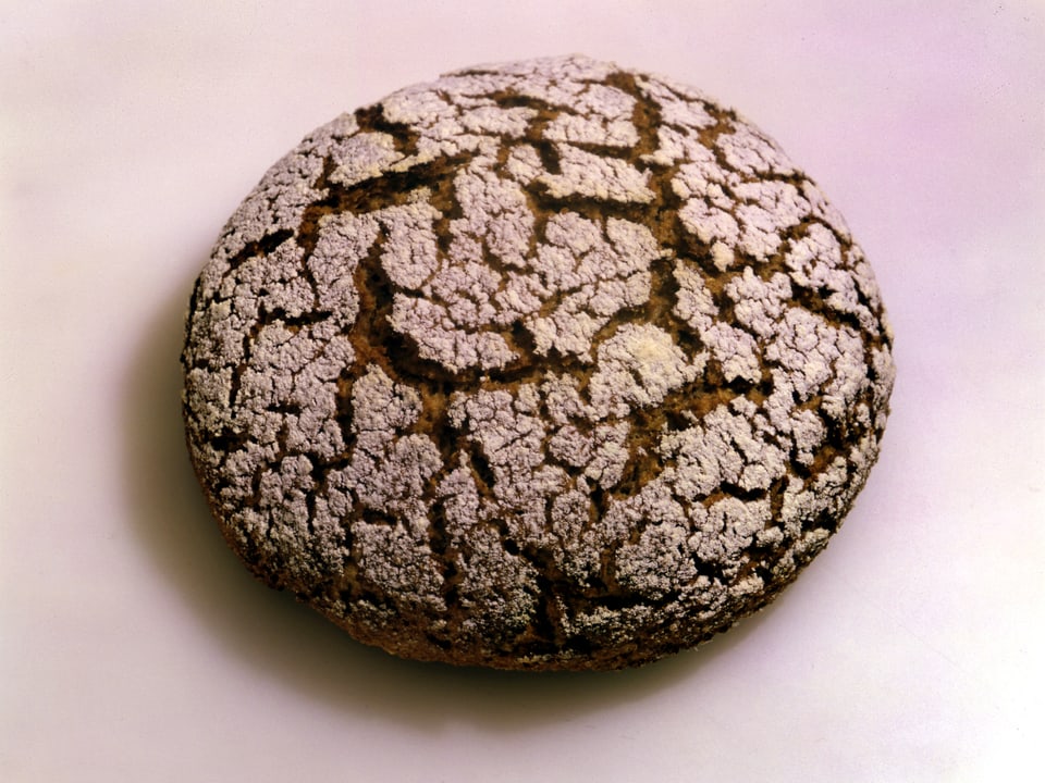 Ein runder dunkler Laib Brot mit weisser Kruste.